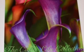 The Calla Collection Coffee Table Book